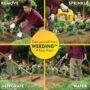 Garden Weed Preventer Granuals – Preen – 5.625 lb
